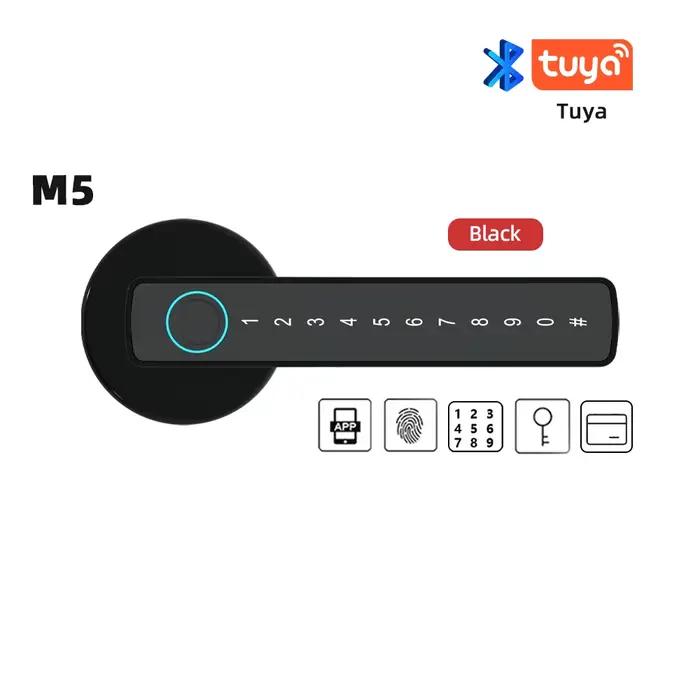 RAYKUpunM5-Serrure de Porte Intelligente à Empreintes Digitales, avec Mot de Passe, Clé, Mode de Dév
