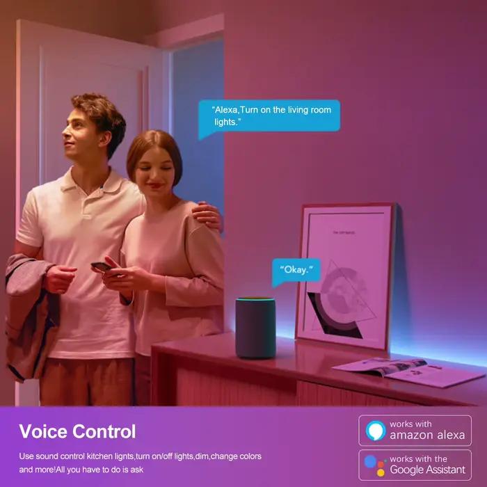 Contrôleur RGBIC LED Wifi 12V/24V, application Tuya, fonctionne avec Alexa/Google Home/vie intellige
