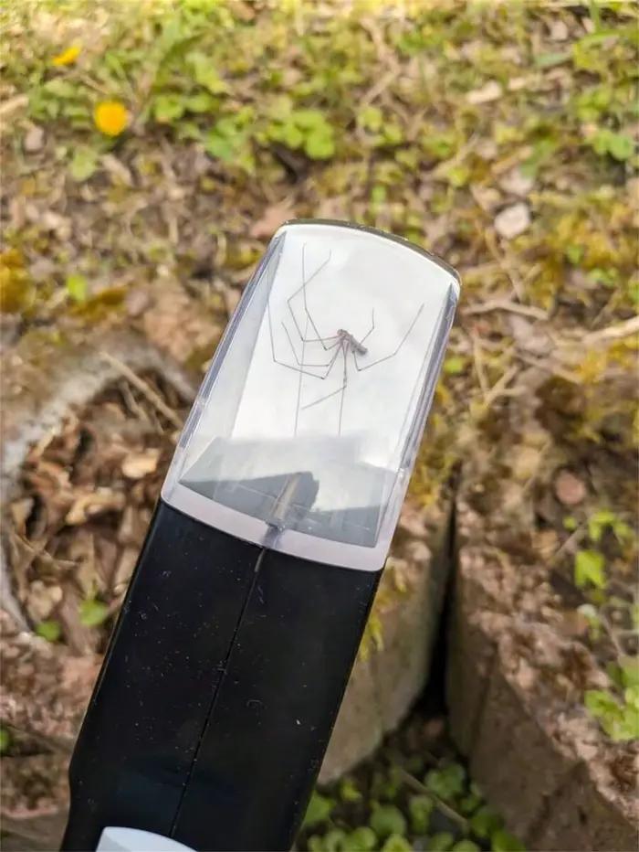1 piège à insectes portable