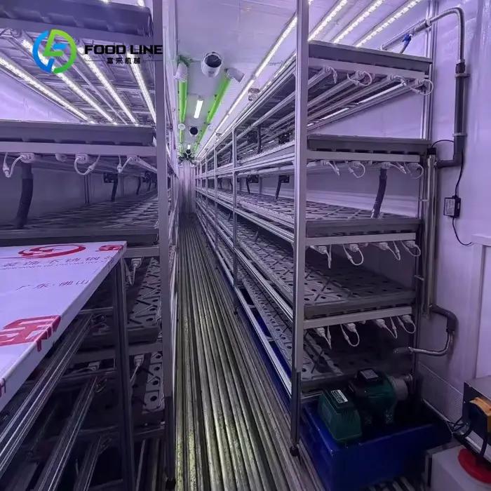 Grande serre agricole à simple travée avec panneaux PIR et système intelligent de culture de champignons pour ferme commerciale et usine de plantes