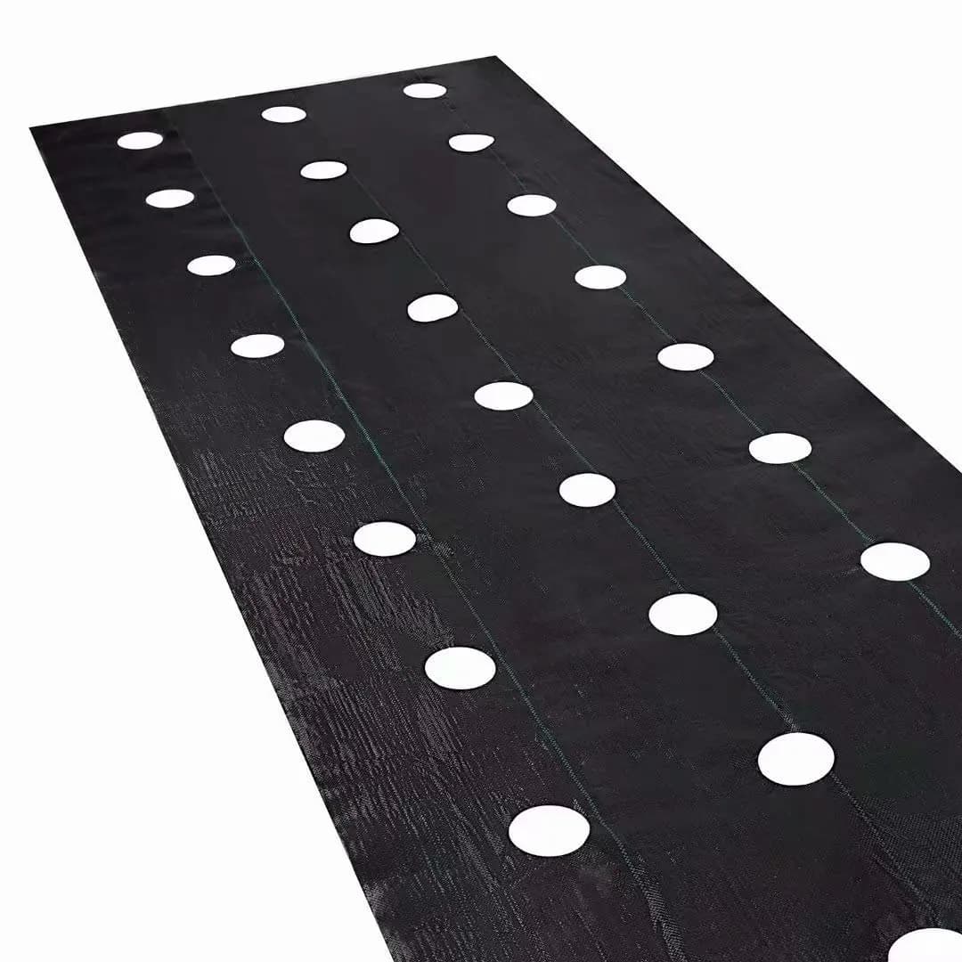 Easy-Plant Weed nights pour lit suréWer, tapis de jardin extérieur, polymères de jardin, trou de pla