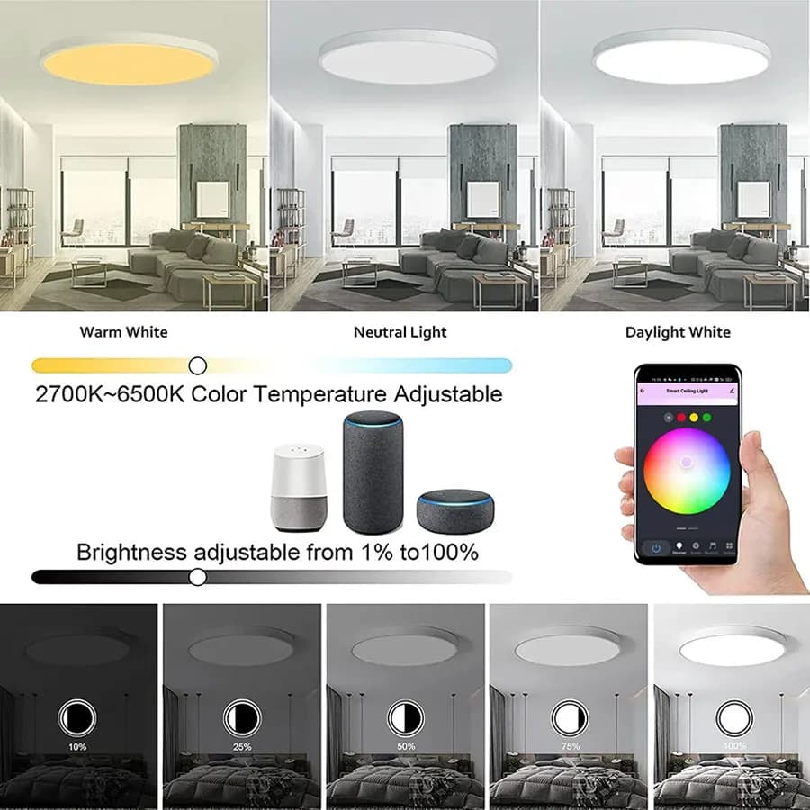 Tuya WiFi plafonnier intelligent RGBCW Led plafonniers lustre 24W 220V chambre salon décoration avec