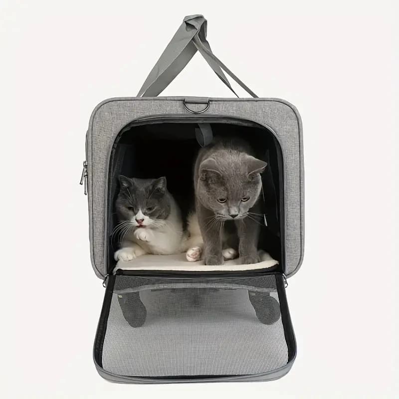 Valise de chariot portative Extra Large pour animaux de compagnie, boîtier de chariot détachable pou