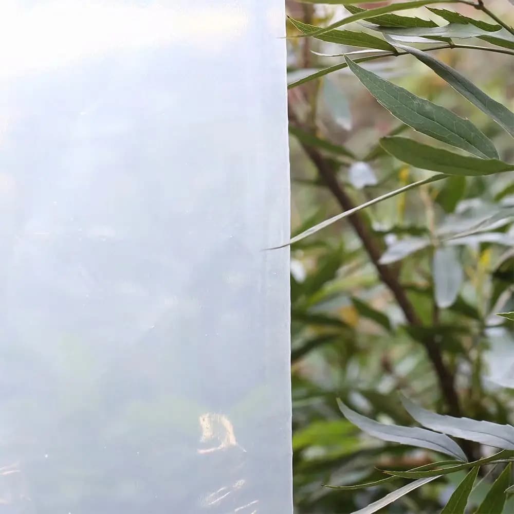 Film de serre en plastique transparent, 6.5 pi x 32 pi, 3.1 mil, polyéthylène, pour tunnel de croiss
