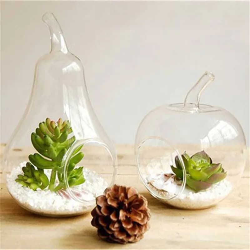 User inière de fruits pomme formage, vase brittop, plante en verre, fleur, terrarium, récipient de d