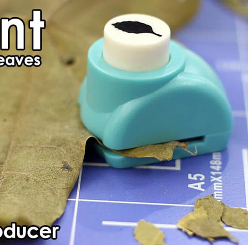 Fabricant de scénarios de scène de fabricant de feuilles de 4 styles feuilles d'automne réelles 15mm