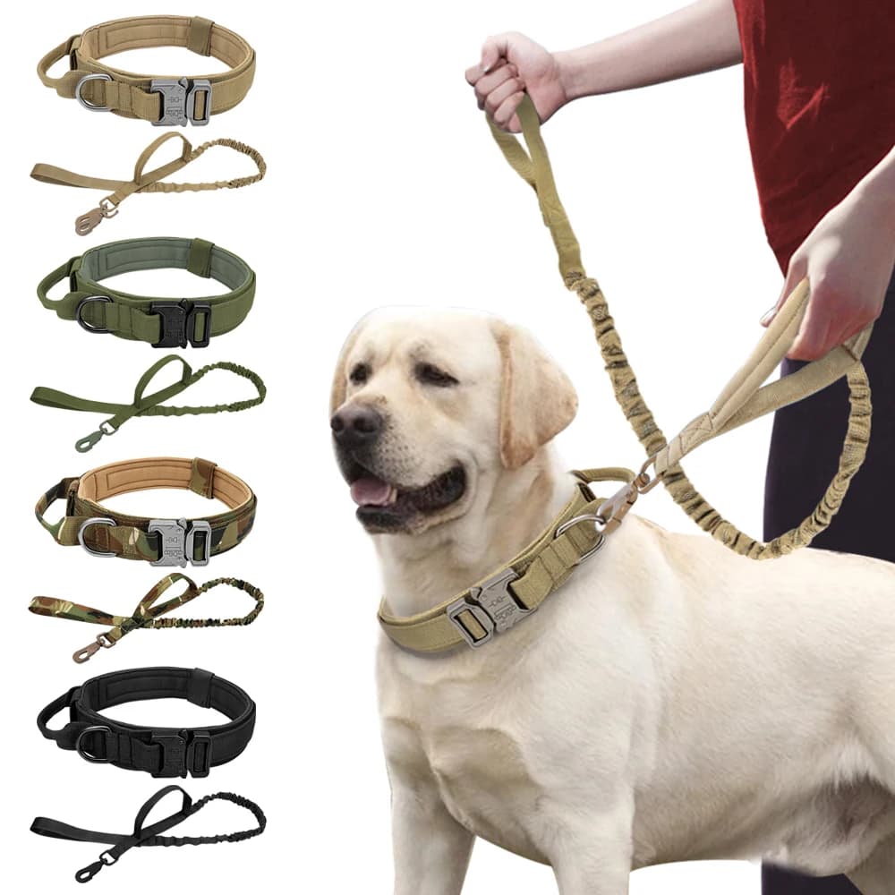 Collier tactique militaire pour chien solide, laisse élastique pour animaux de compagnie, colliers d