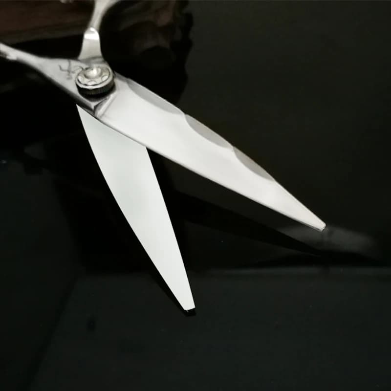 TITAN japon Original professionnel ciseaux de coiffure professionnel barbier ciseaux ensemble coupe 