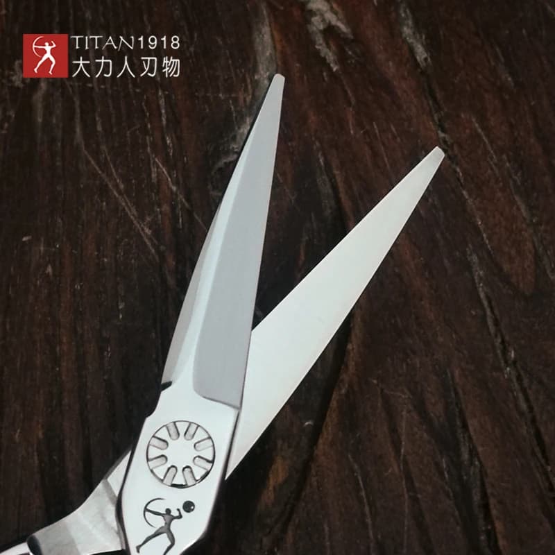 TITAN SCISSORS Ciseaux à cheveux professionnels 5,5 pouces 5,0 pouces