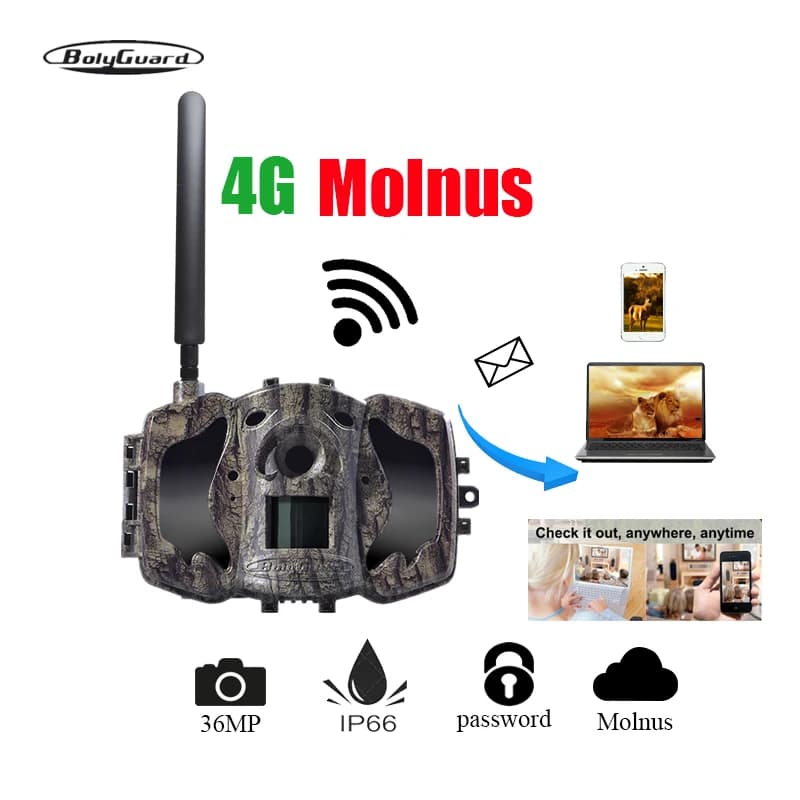 Caméra de chasse BolyGuard MG984G-36M 4G 36M 1080P HD, caméra de surveillance de la faune, MMS EMS, 