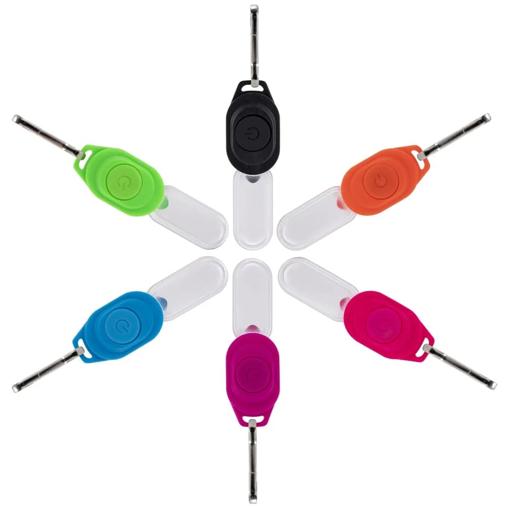 Mini LED nuit clignotant fermeture éclair lumière porte-clés lumière marche chien animal de compagni