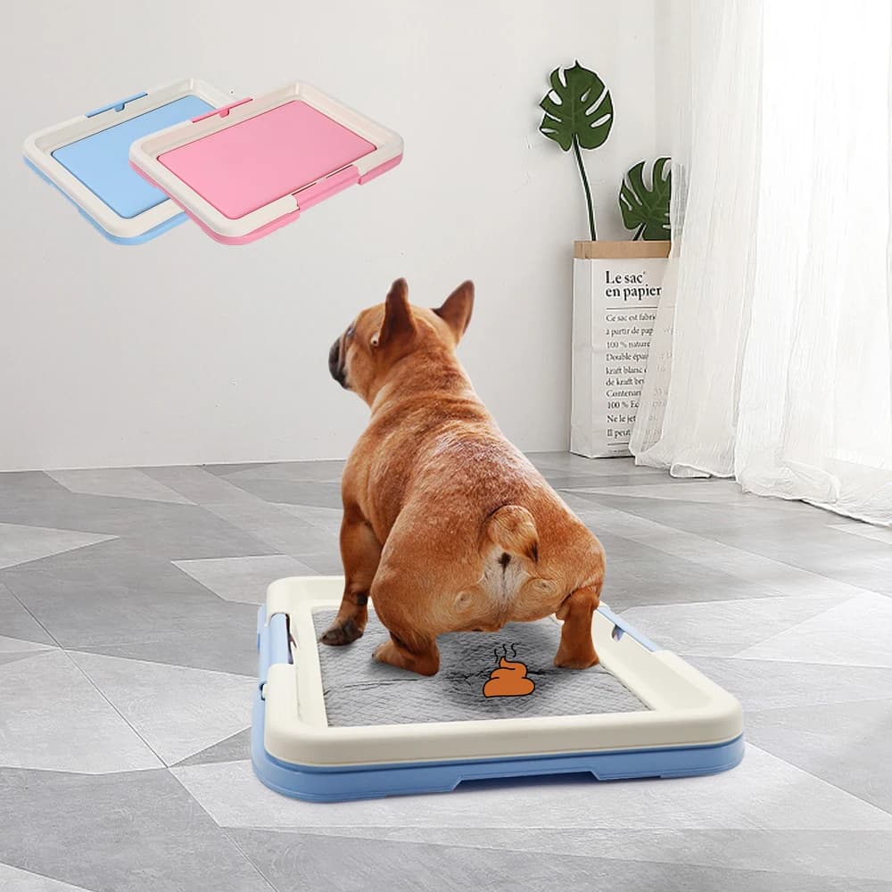 Portable chien formation toilette intérieur chiens pot toilette pour animaux de compagnie pour petit