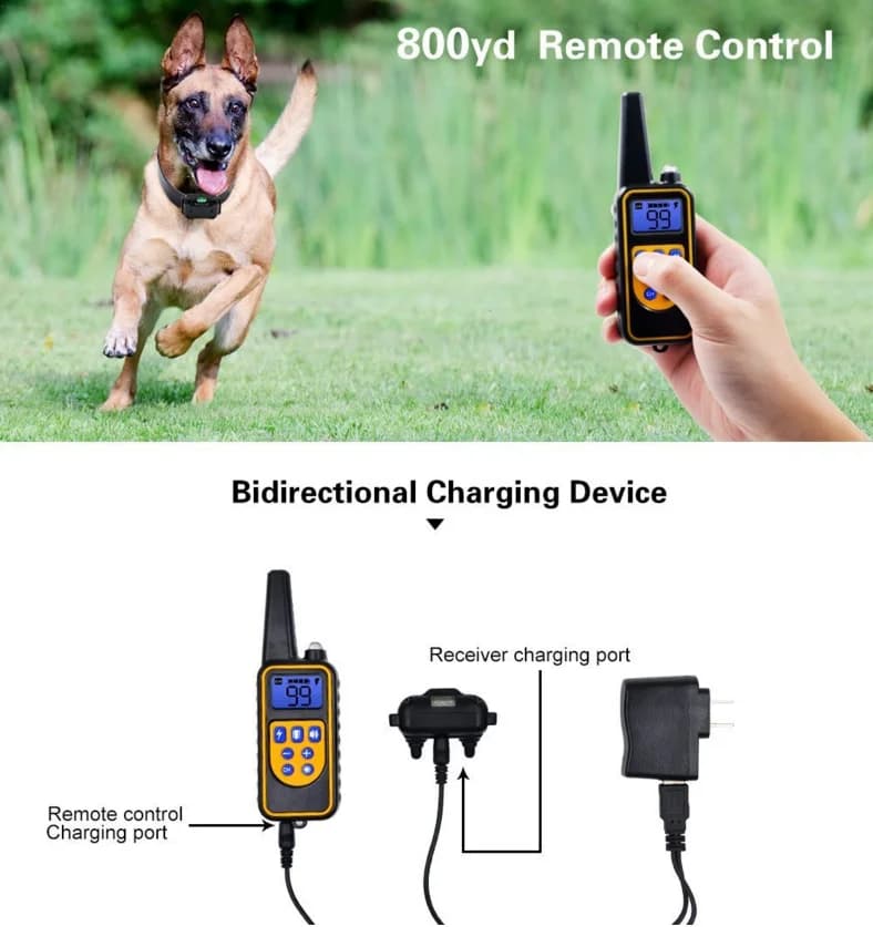 Collier Électrique Anti-Aboiement pour Chien, Étanche, avec Télécommande, Rechargeable, Dispositif d