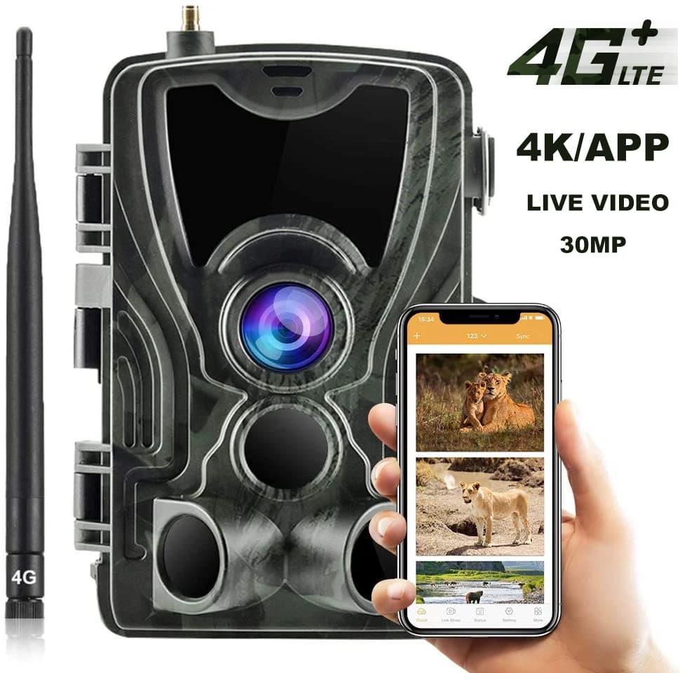 Caméra de chasse 4G avec service cloud gratuit, diffusion en direct 4K, surveillance de la faune, ca