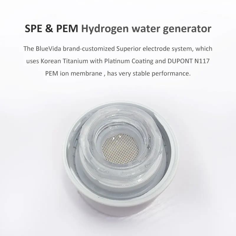 Max 3000ppb Bluevida générateur de bouteille d'eau d'hydrogène Anti-âge 3000mAh grande capacité long