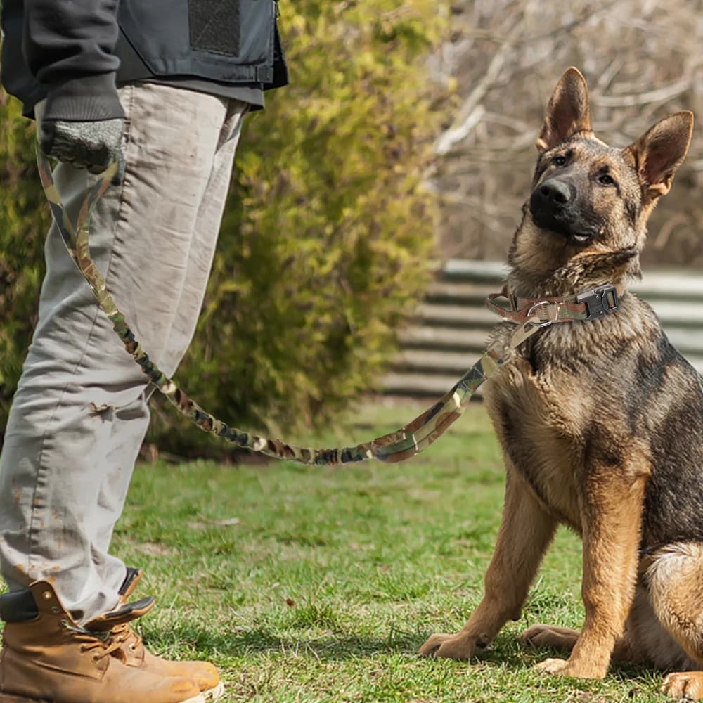 Collier tactique militaire pour chien solide, laisse élastique pour animaux de compagnie, colliers d