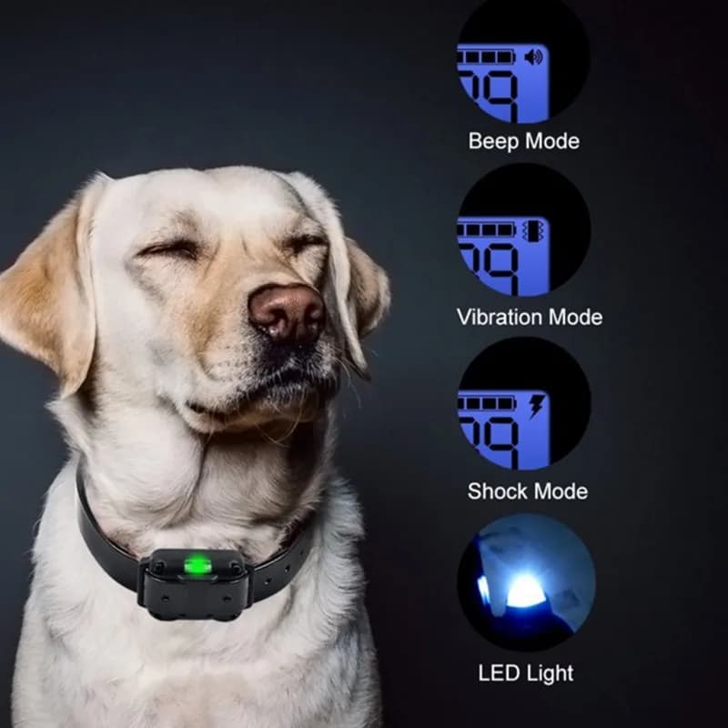 Collier Électrique Anti-Aboiement pour Chien, Étanche, avec Télécommande, Rechargeable, Dispositif d