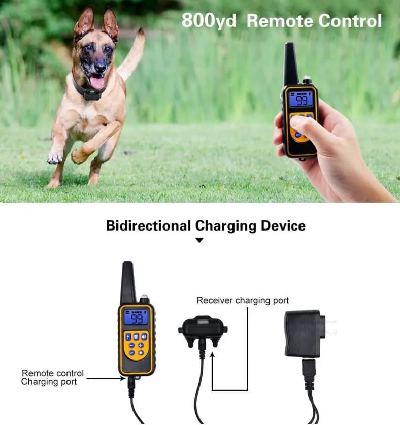Collier de chien collier de formation pour chien électrique affichage LCD Rechargeable pour collier 