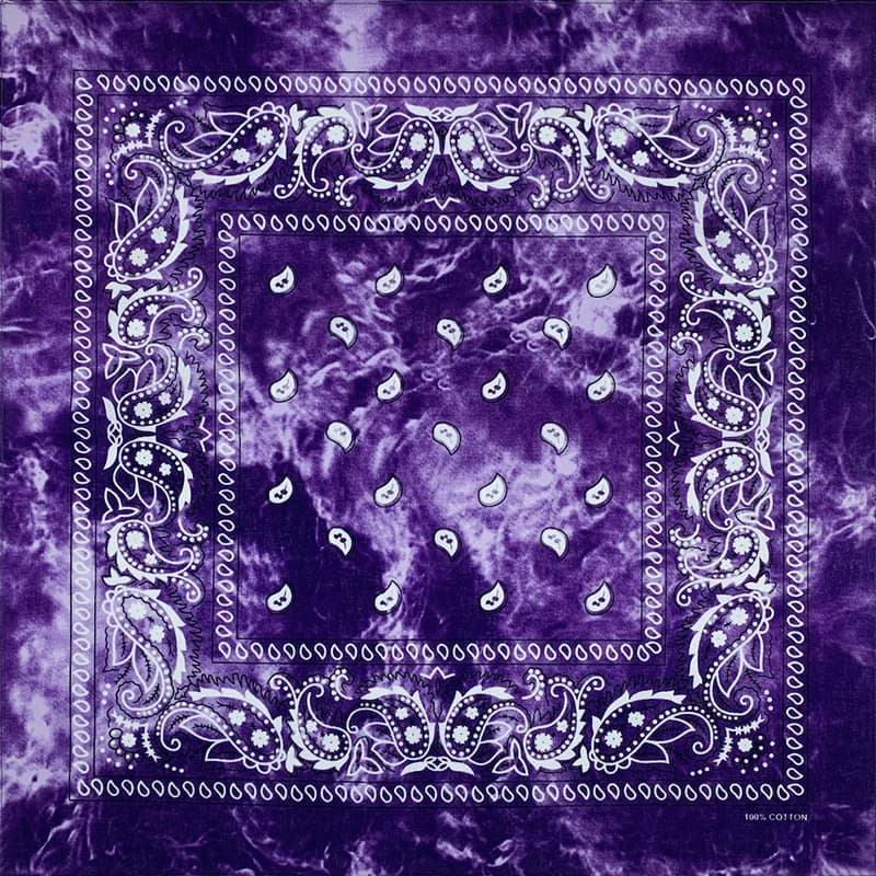 Nouveau Design cravate colorant cajou Paisley Hip Hop 100% coton carré Bandana écharpe unisexe bande