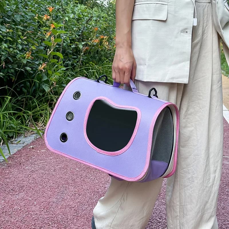 Sac de transport Portable pour animaux de compagnie, pour petits chiens et chats, sac pliable d'exté