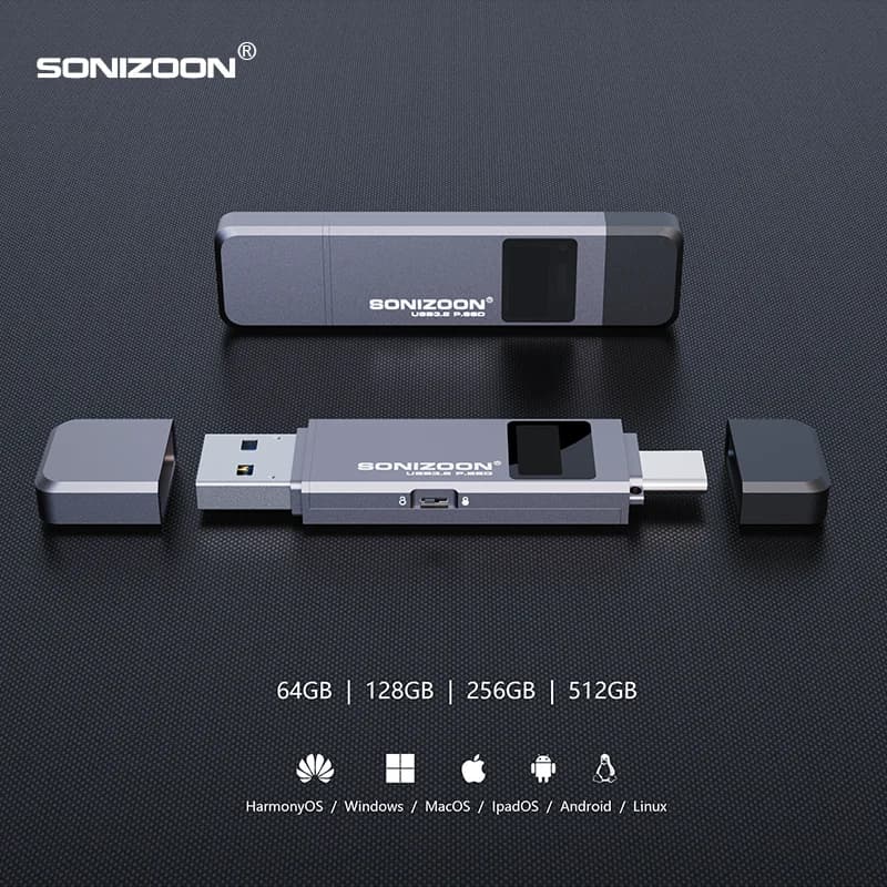 Cryptage d'empreintes digitales SSD Portable 128/256/512GBWrite fonction de Protection clé USB à sem