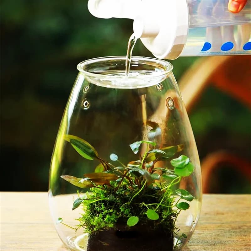 Micro bouteilles en verre de paysage avec couvercle, bouteille de mousse succulente verte fraîche, V