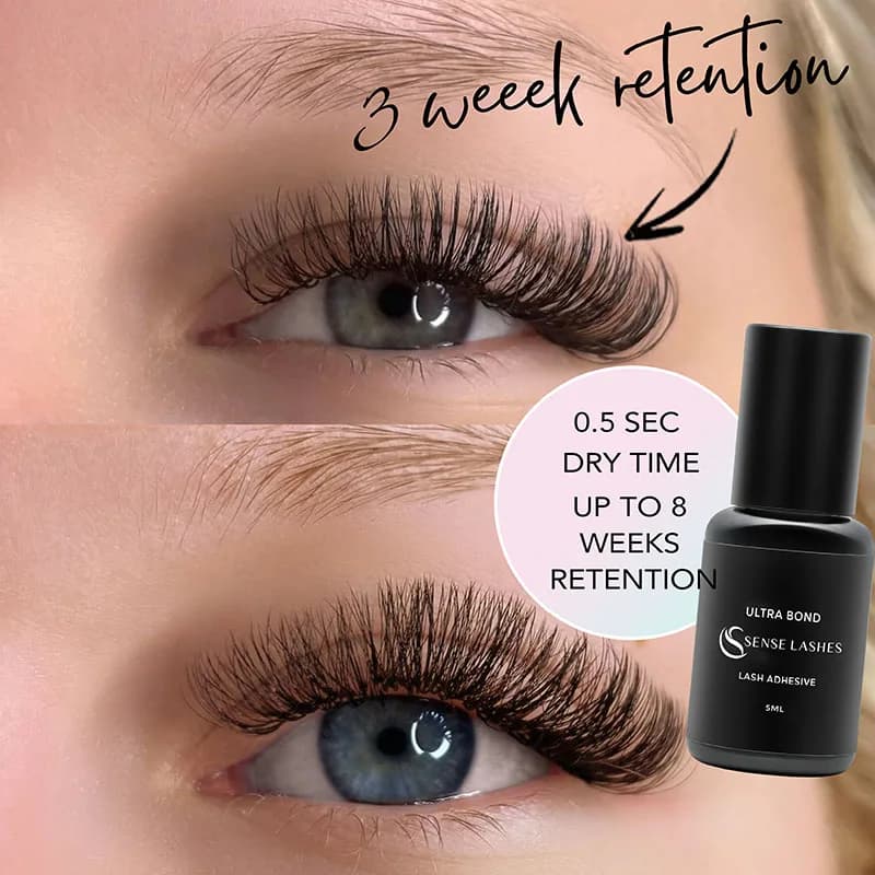 SENSE LASHES 10 bouteilles de colle à cils 5ml adhésif pour cils pegamento de pestañas adhésif exten