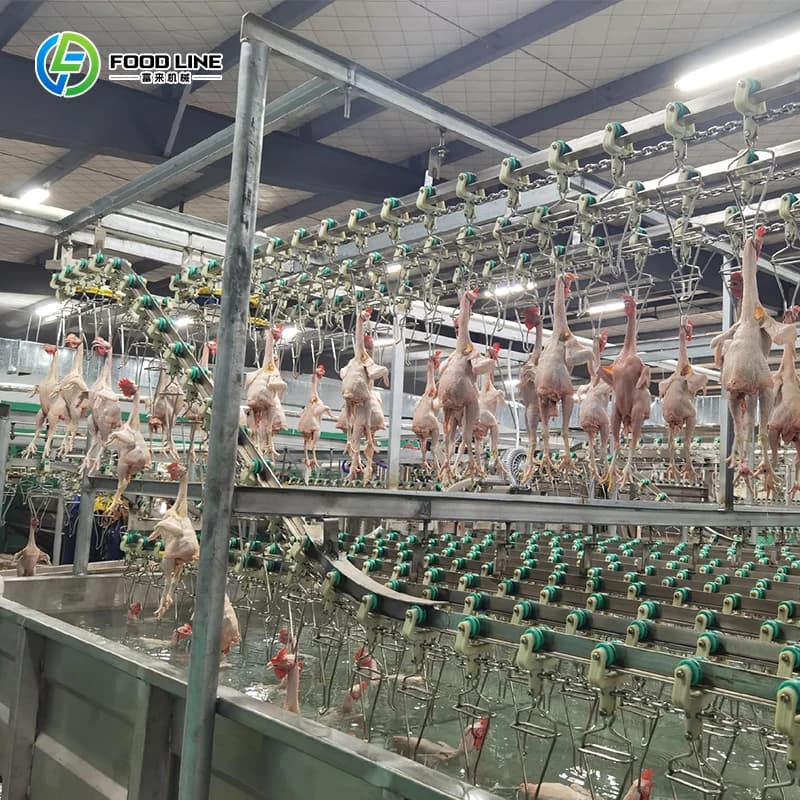 Ligne d'abattage automatique de poulets halal, machine d'abattage pour l'équipement de transformatio