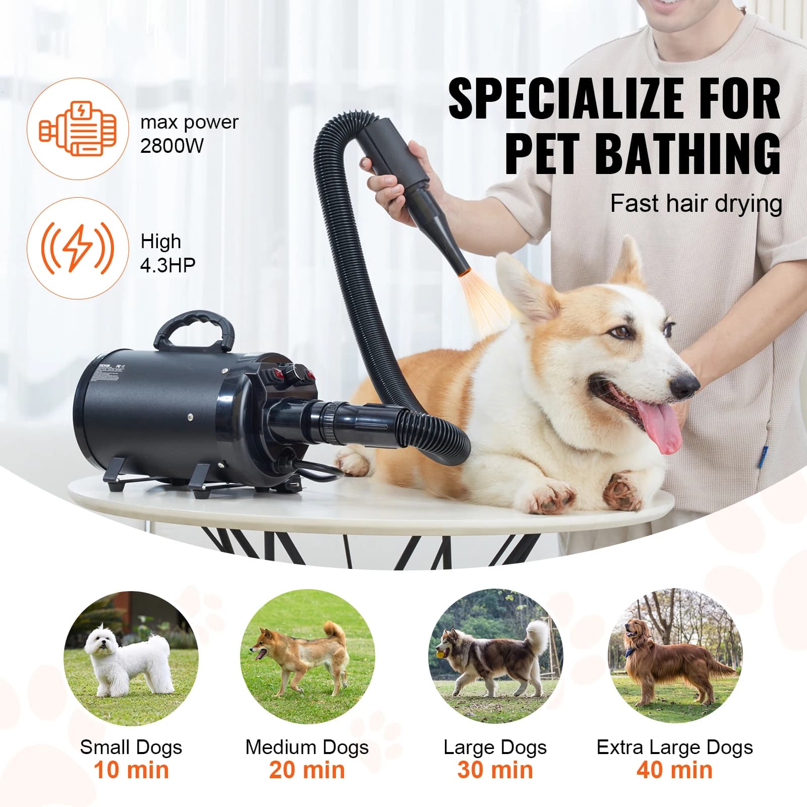 SucceBuy 2000W/2.7HP sèche-cheveux pour chien contrôle de la température à vitesse réglable avec 4 b