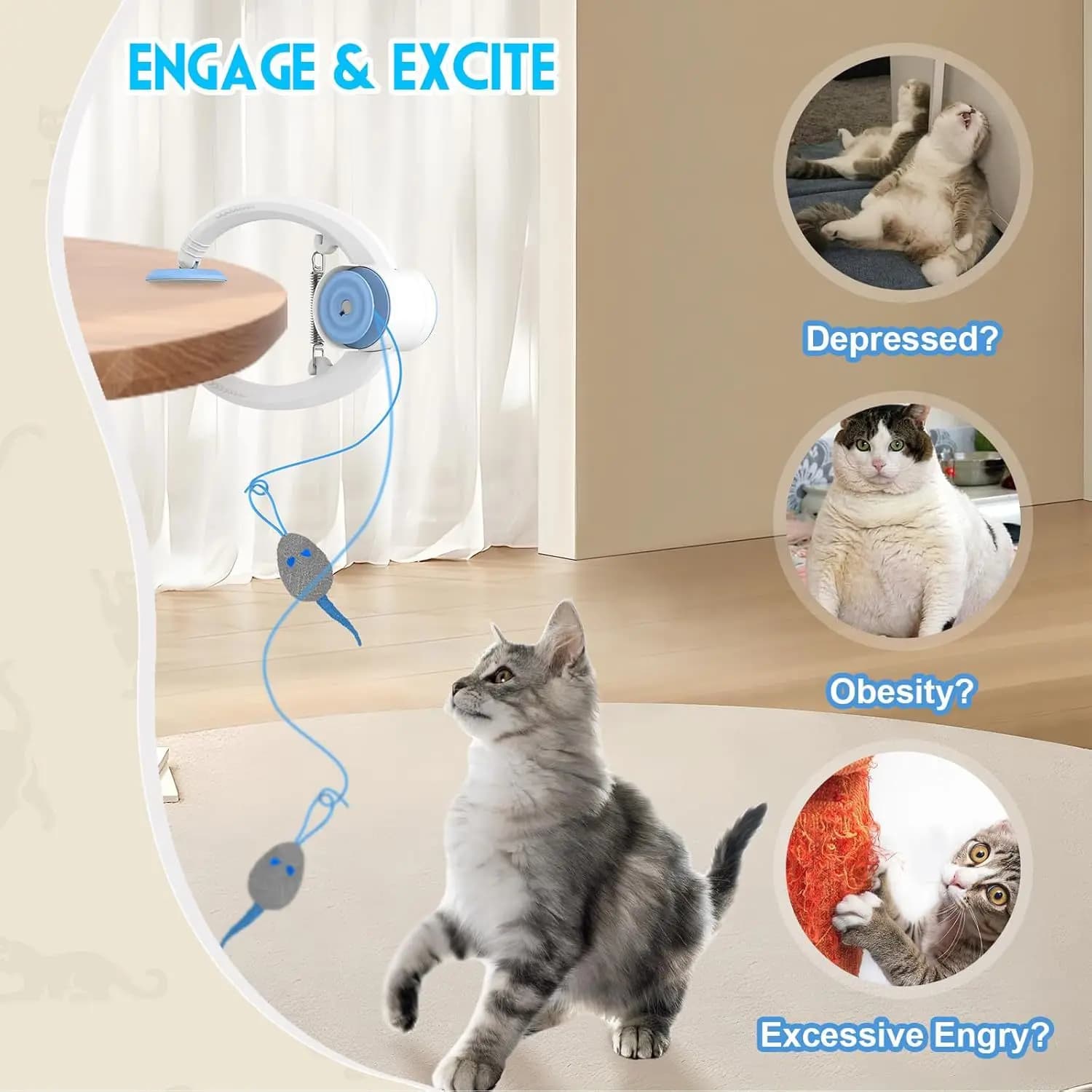 Jouets pour chat, disque collant, porte suspendue élastique, corde longue, accessoires pour chat, jo
