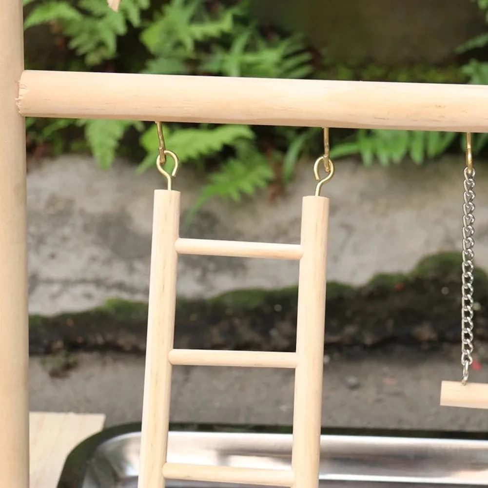 Aire de jeux pour oiseaux, support de perche, tasses d'alimentation, balançoire, échelle d'escalade,