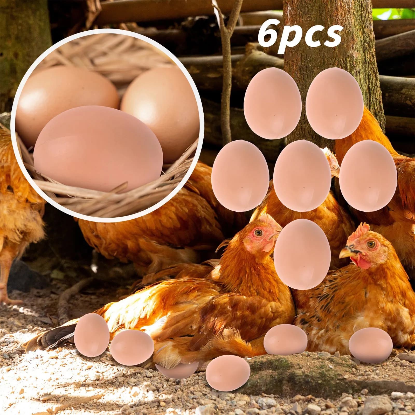 Petits emoufs Jetables en Plastique pour Animaux de Ferme, Fournitures, Cages, Accessoires, Guide, N