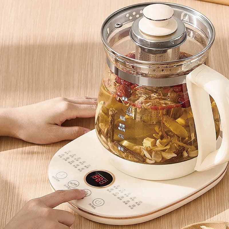 Bouilloire électrique en verre multifonctionnel, théière de fleurs, Leurs oût de soupe, pot de santé