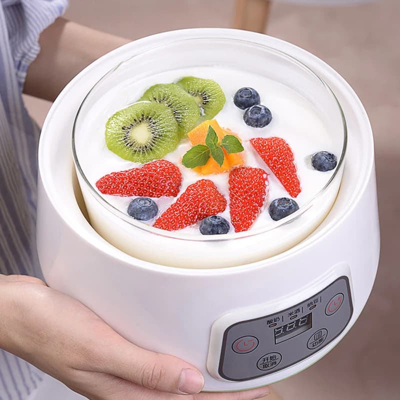Yaourtière automatique 1,3 L à température constante, machine à vin de riz, machine à natto, avec cu