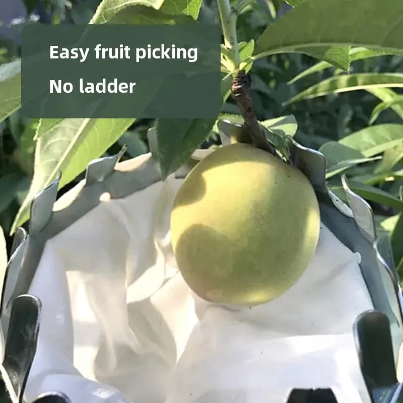 Outil de cueillette de fruits, outil de cueillette de cerises en métal, tête de panier de cueilleur 