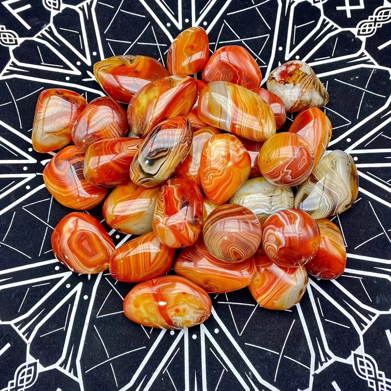 Palmier naturel aléatoire de Sardonyx, pierre de palmier d'agate polie naturelle, cristal de guériso