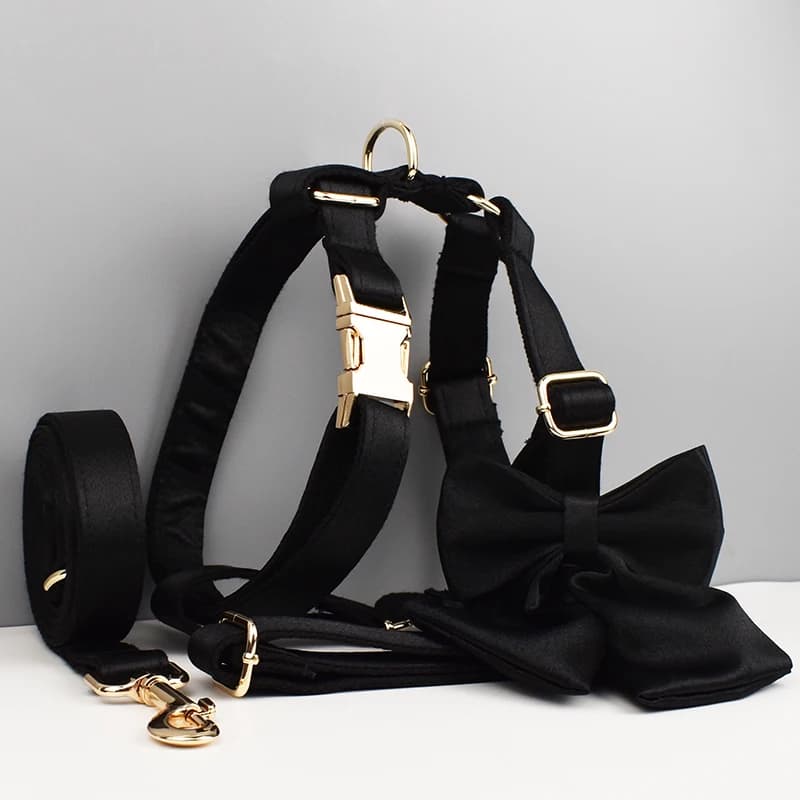 Accessoires pour animaux de compagnie : Ensemble collier, laisse et harnais en polyester soyeux de l