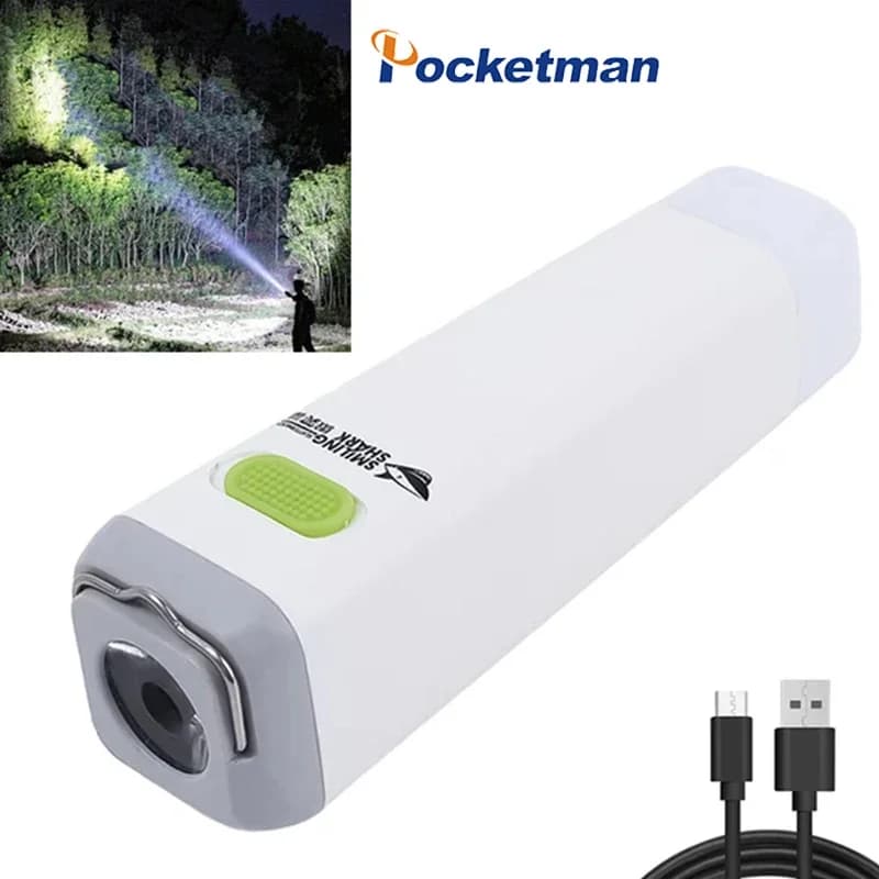 Mini lampe de poche LED aste par USB, lampes de poche, lumière de secours, petite torche, lampe de p