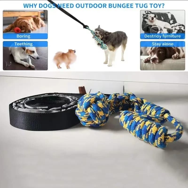 Jouet de remorqueur élastique d'extérieur, jouet pour chien suspendu à l'arbre pour chiens de petite