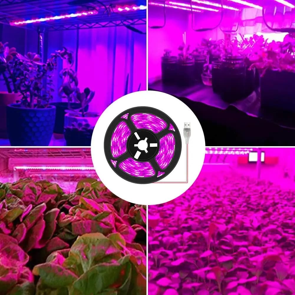 Plante lumière grandir bande LED 5V USB LED 1-5m puce LED à spectre complet pour serre fleur semis c