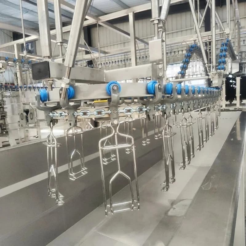 Ligne d'abattage de volailles, équipement d'abattage halal pour poulets, pour abattoir de poulets