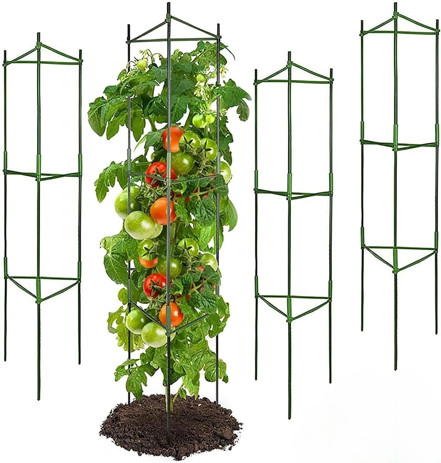 Tomates, jusqu'à 51 amarans de piquets de plantes, grilles végétales assemblées pour plantes grimpan