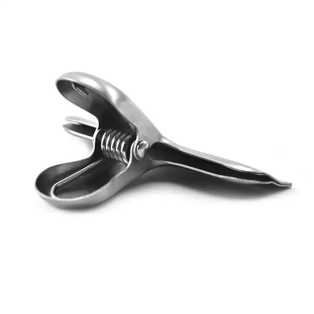 Clips de sac en acier inoxydable pour aliments, métal argenté, pinces alimentaires, pinces à papier 