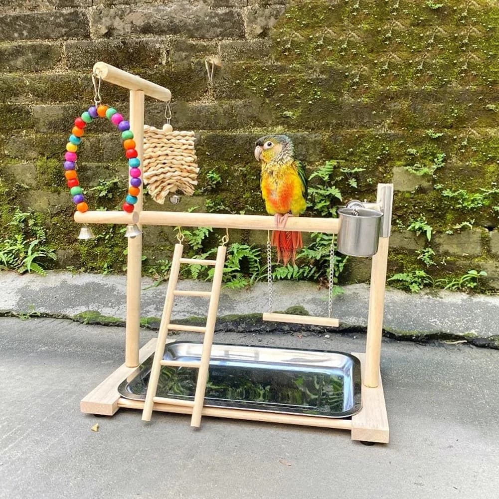 Aire de jeux pour oiseaux, support de perche, tasses d'alimentation, balançoire, échelle d'escalade,