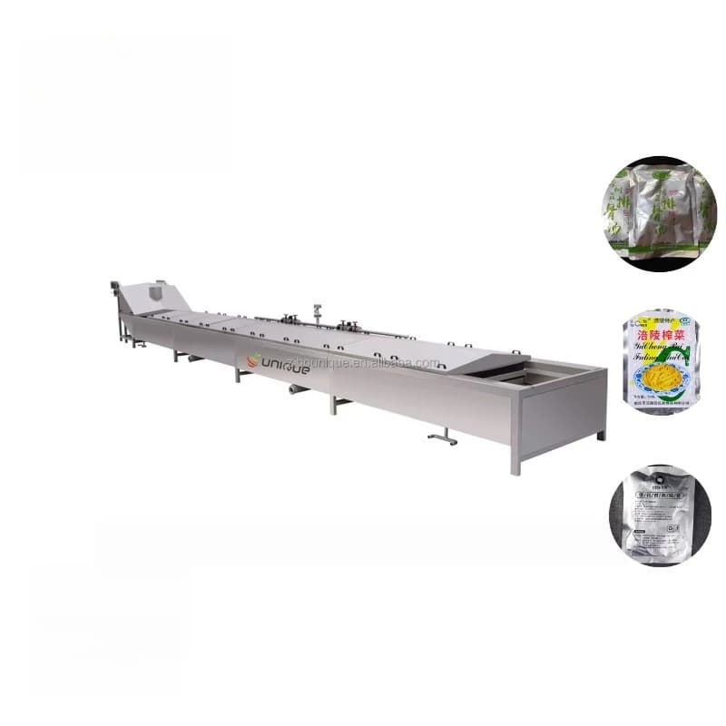 Machine à repasser les légumes automatique personnalisée, équipement industriel commercial pour la t