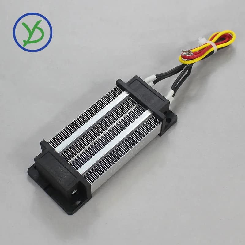 Élément chauffant 12V ~ 220V 200W 300W AC DC Thermos isolé PTC chauffage d'air en céramique 110V inc