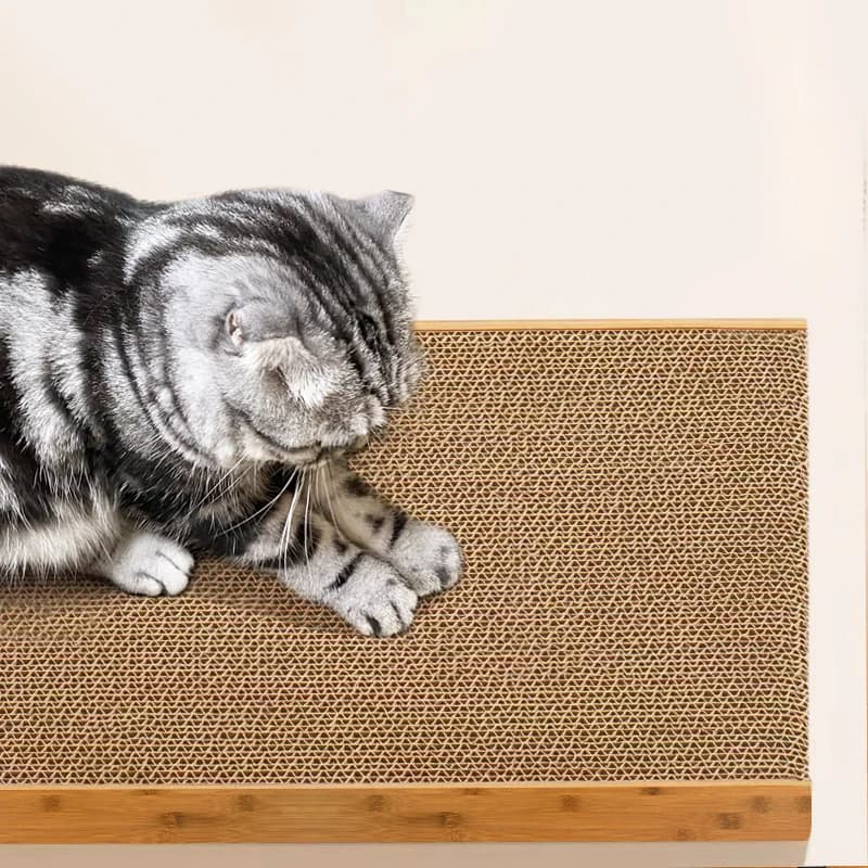 Planche à gratter verticale pour chat, double grattoir pour chat, tampon à gratter en carton ondulé 