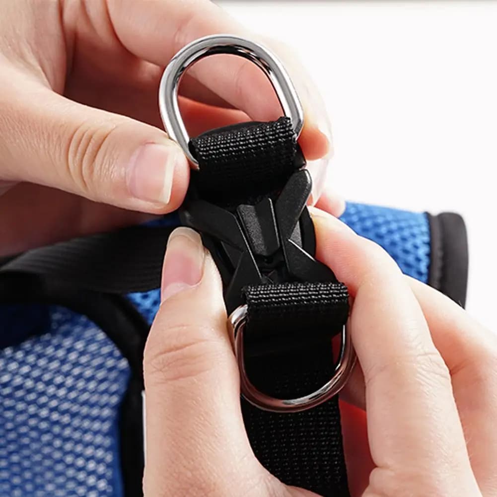 Chariot pour animaux de compagnie, jambe arrière réglable, aide à la mobilité pour chien handicapé, 