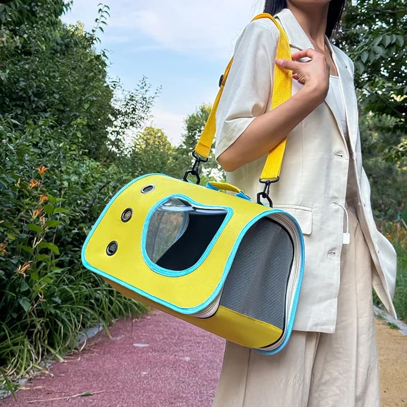 Sac de transport Portable pour animaux de compagnie, pour petits chiens et chats, sac pliable d'exté