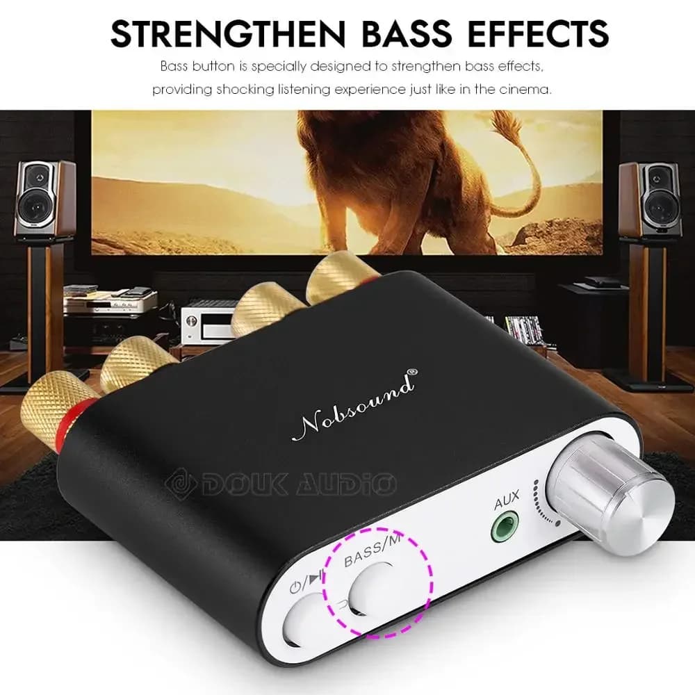 Douk Audio NS-10G Mini Bluetooth 5.0 TPA3116 Amplificateur de Puissance Numérique HiFi Stéréo Audio 
